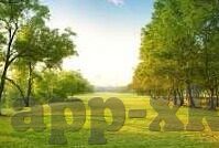 91社区一区二区-91社区，一区二区的网络生态与文化探索