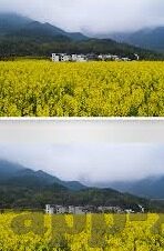 成人永久免费视频-成人永久免费视频，网络时代的伦理边界与个人选择