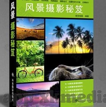 杭州麻豆文化传媒-杭州麻豆文化传媒，传统与现代交织的创意新风口