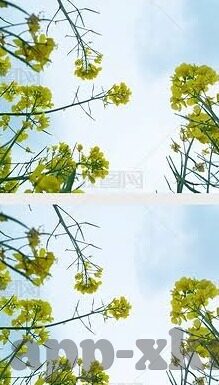 麻豆91官网下载-目睹潮流的另一面，数字时代的陷阱
