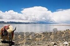 麻豆精品视频福利免费-纯净视听享受，解锁麻豆精品视频的温馨福利
