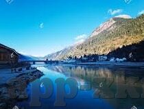 麻豆视传媒app官方-麻豆视传媒APP的数字娱乐新体验