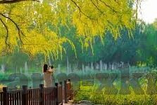 日韩欧美av在线观看-成人娱乐内容，日韩欧美AV的在线观看现象与思考