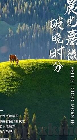 糖心漫画平台入口-畅游糖心世界，解锁漫画迷们的视觉盛宴